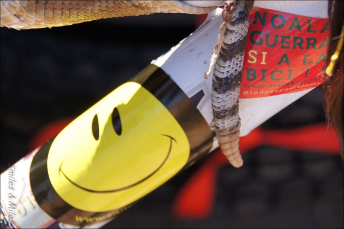 The Smiles & Miles logo keeping company with a snake skin for a trip across Mexico.