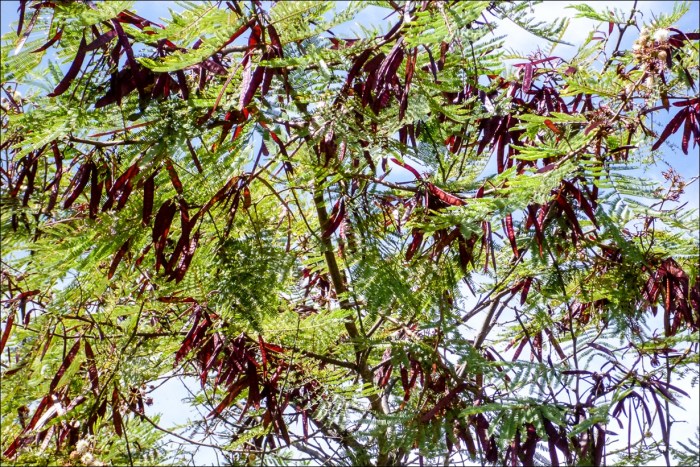 20111003-095311-Smiles & Miles-00013-Blog-web ready