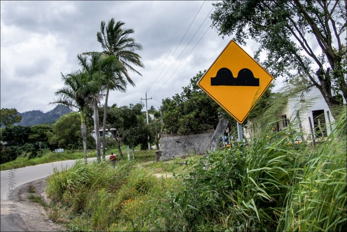 Warning!  Vibradores!