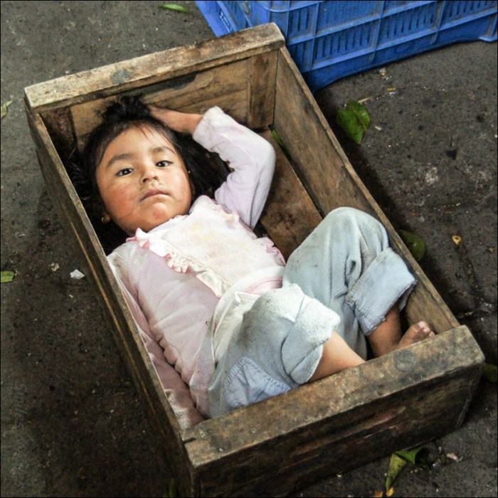 Something unexpected on display at the market.